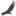 SiteCondor
